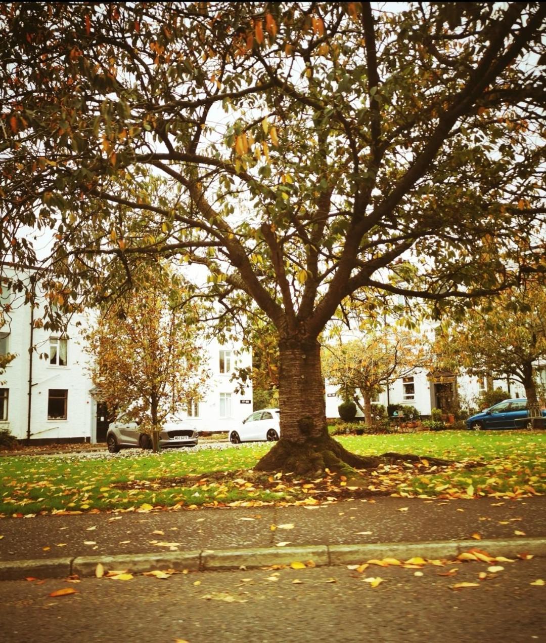 Entire 1 Bed Spacious Apartment, Private Balcony & Study Room Near City Whitehouse (Antrim) Exterior foto